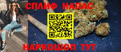 гашик Камышлов