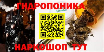 гашик Камышлов