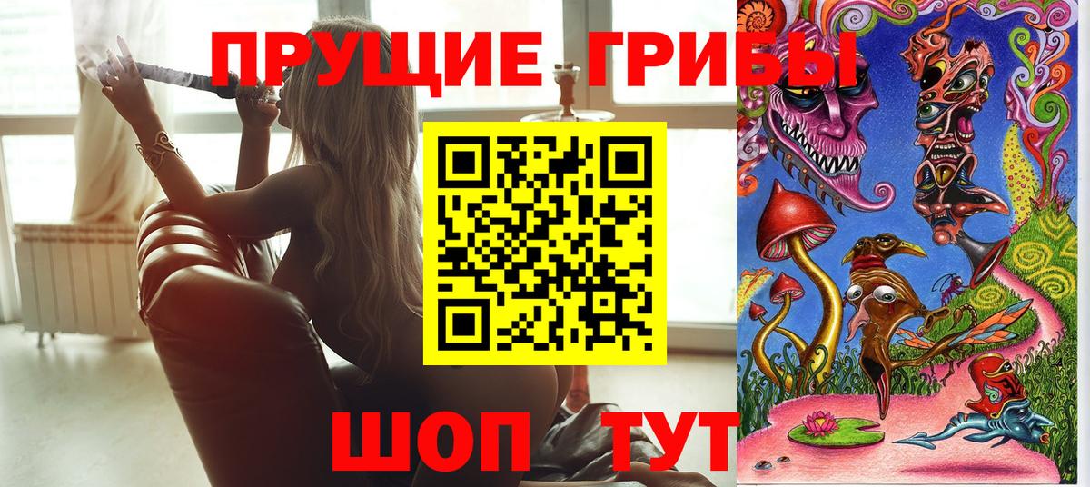 Псилоцибиновые грибы мухоморы Элиста