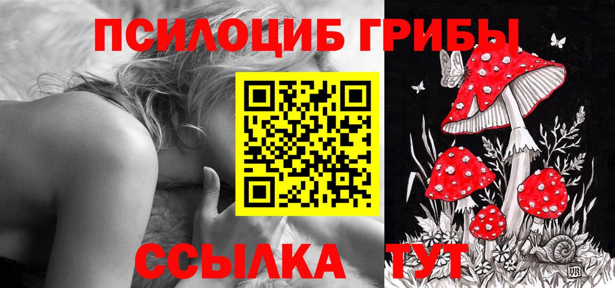 Элиста  Галлюциногенные грибы прущие грибы  Вход с VPN 