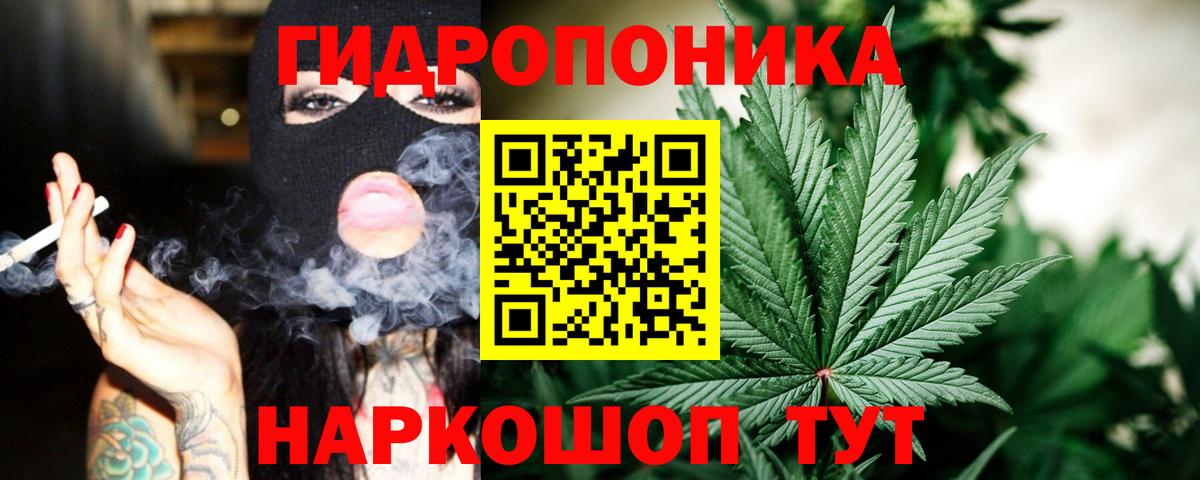Бошки Шишки семена Элиста